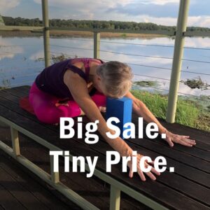  book Iyengar yoga online classes