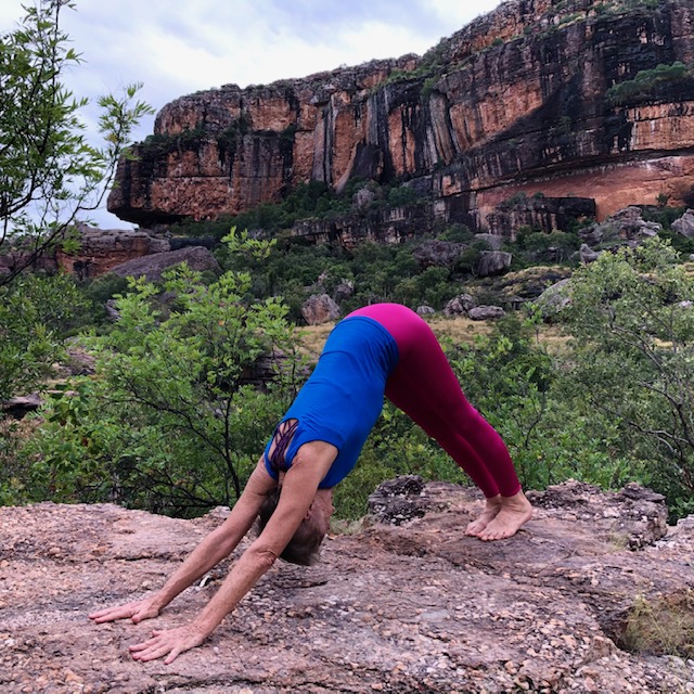 Downward facing dog pose on a rock ledge in the Top End, the hands spread, the arms straight and the spine long