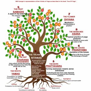 the tree of yoga bks iyengar diagram