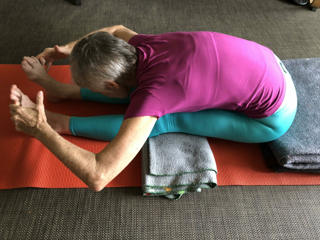 Iyengar yoga asana alternatives for the knees