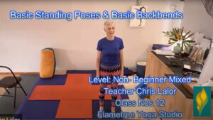 affordable yoga and fitness via budget yoga videos