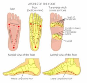 standing poses iyengar