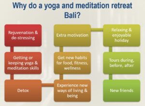 wellness retreat 2025