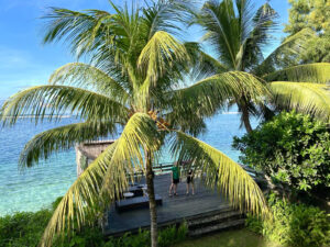 Beginner friendly yoga retreat Bali view