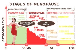 Estrogen levels & stages of women wellness series