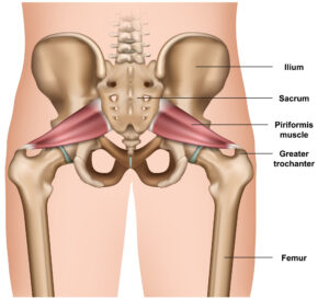 Iyengar Yoga Workshop Darwin 2026
