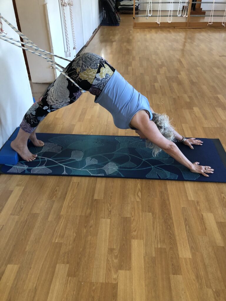 Flametree teacher Jo in Downward Dog with wall ropes, yoga health fund rebate waiting periods