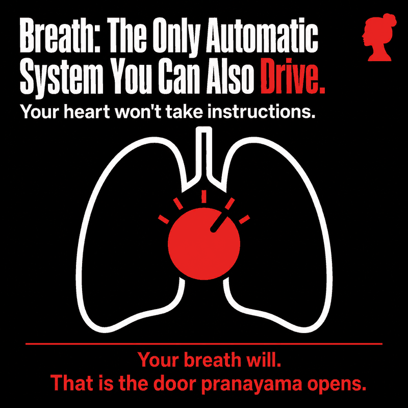 Infographic: white line-art lungs with a bold red control dial at the centre. Breath is the only automatic system you can also drive. Your heart won't take instructions; your breath will. That is the door pranayama opens.