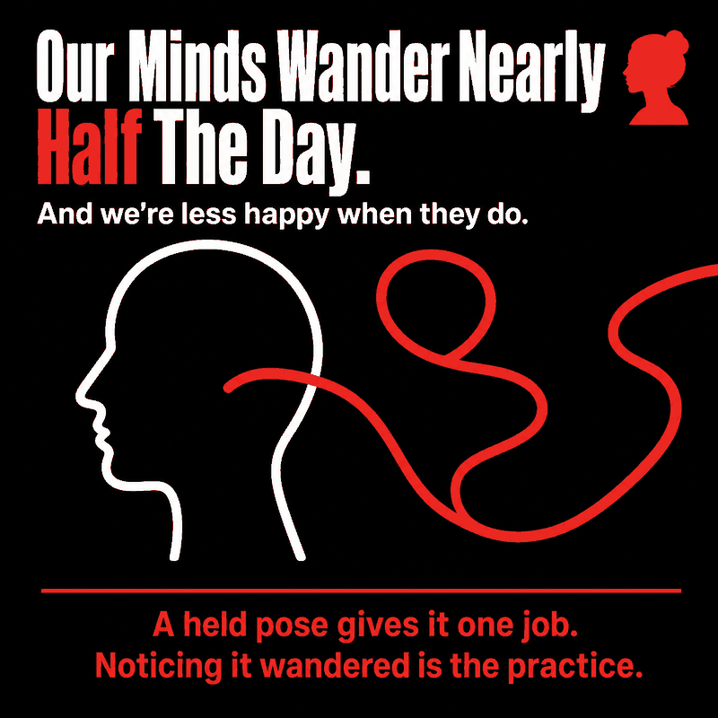 Infographic: a white line-art head in profile with a thick red line wandering away from it. Our minds wander nearly half the day and we are less happy when they do. A held pose gives it one job; noticing it wandered is the practice.