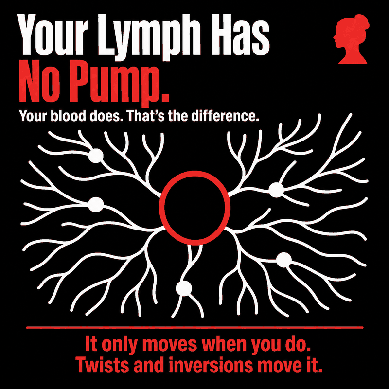 Infographic: a white branching lymphatic network with a large empty red circle at its centre where a pump would be. Your lymph has no pump — it only moves when you do, and twists and inversions move it.