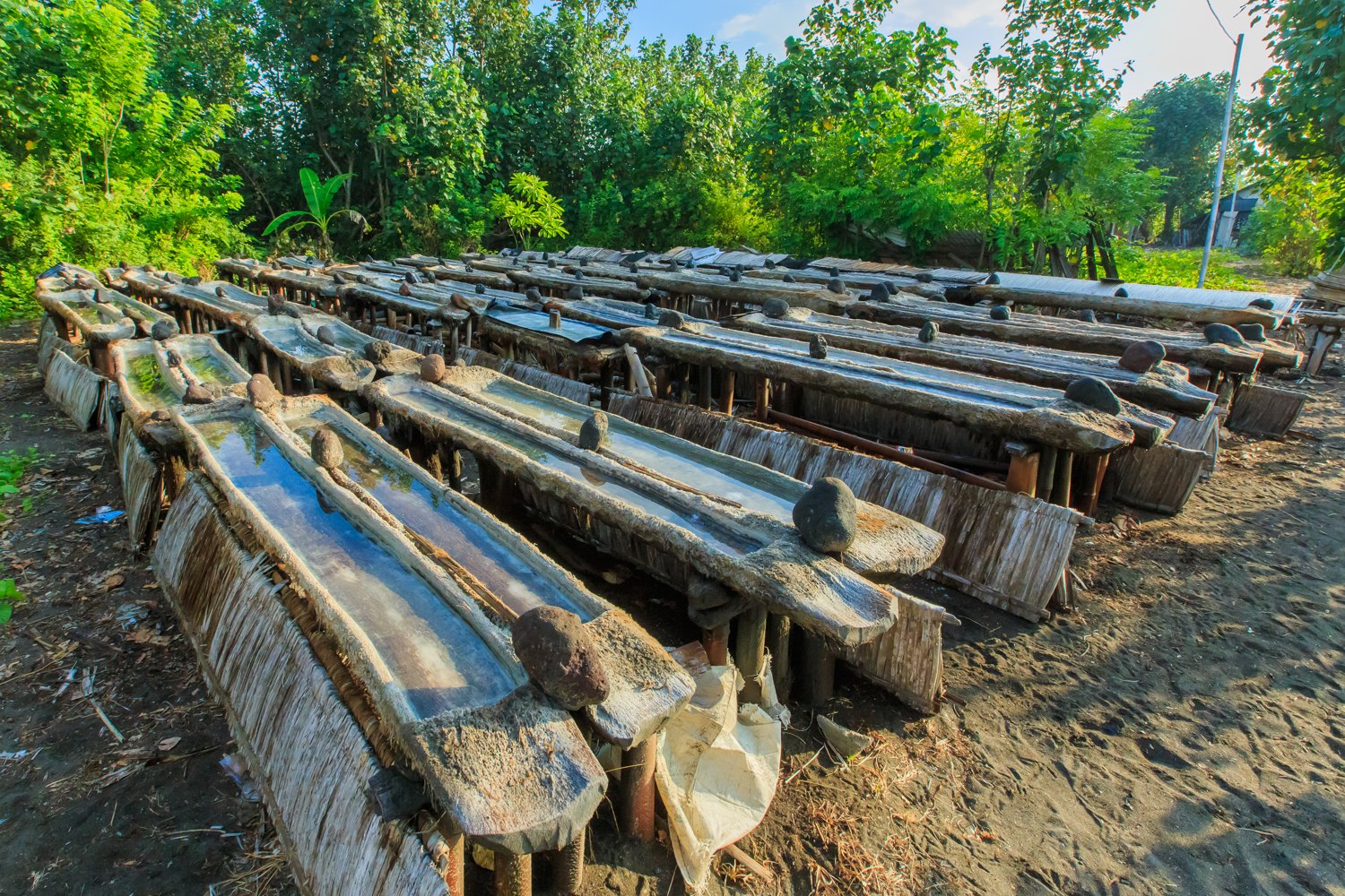Rows of hollowed palm trunk evaporation troughs on the black sand at the traditional salt farms at Kusamba in east Bali