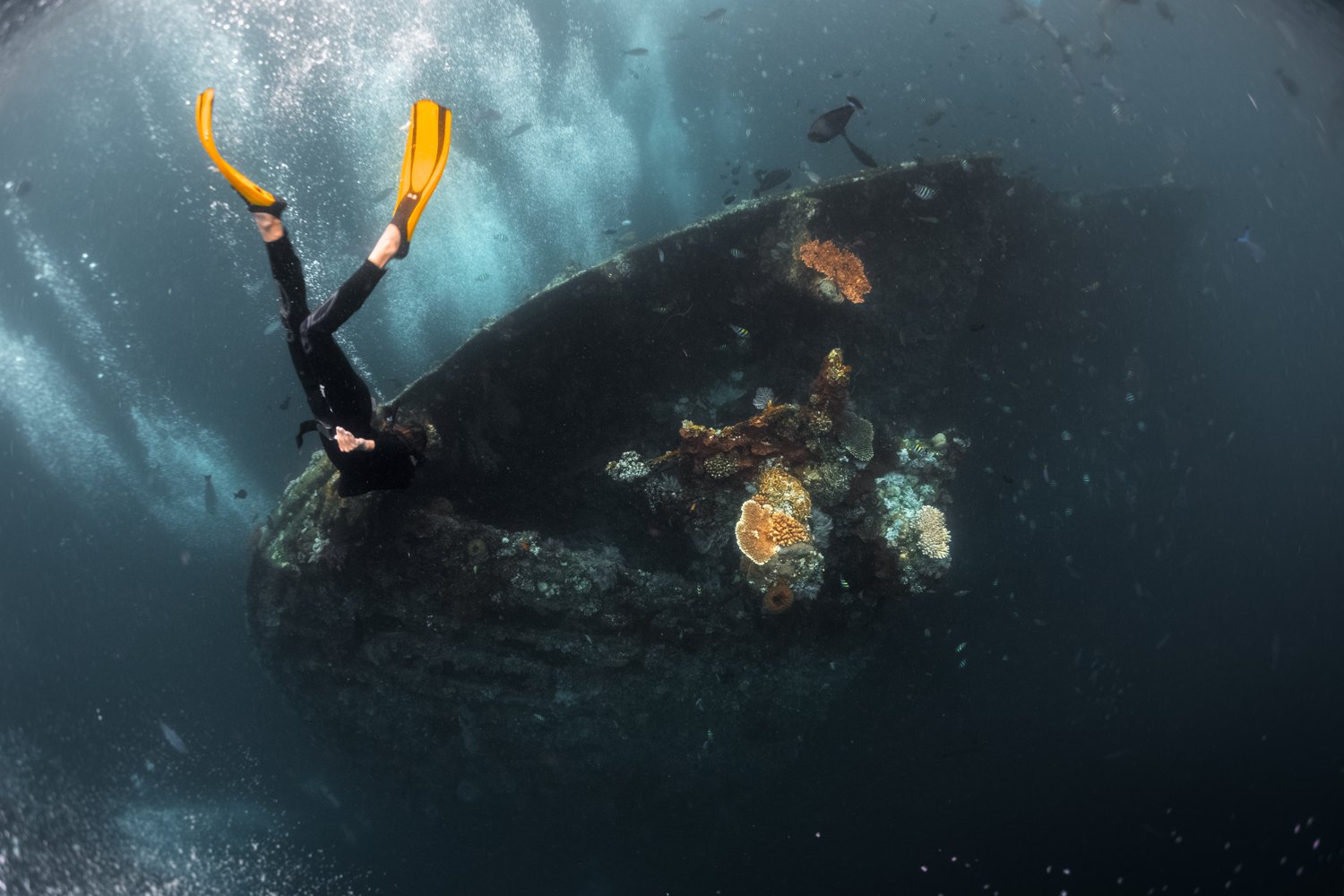 A freediver in a wetsuit with yellow fins descending onto the hull of the USAT Liberty shipwreck at Tulamben in east Bali
