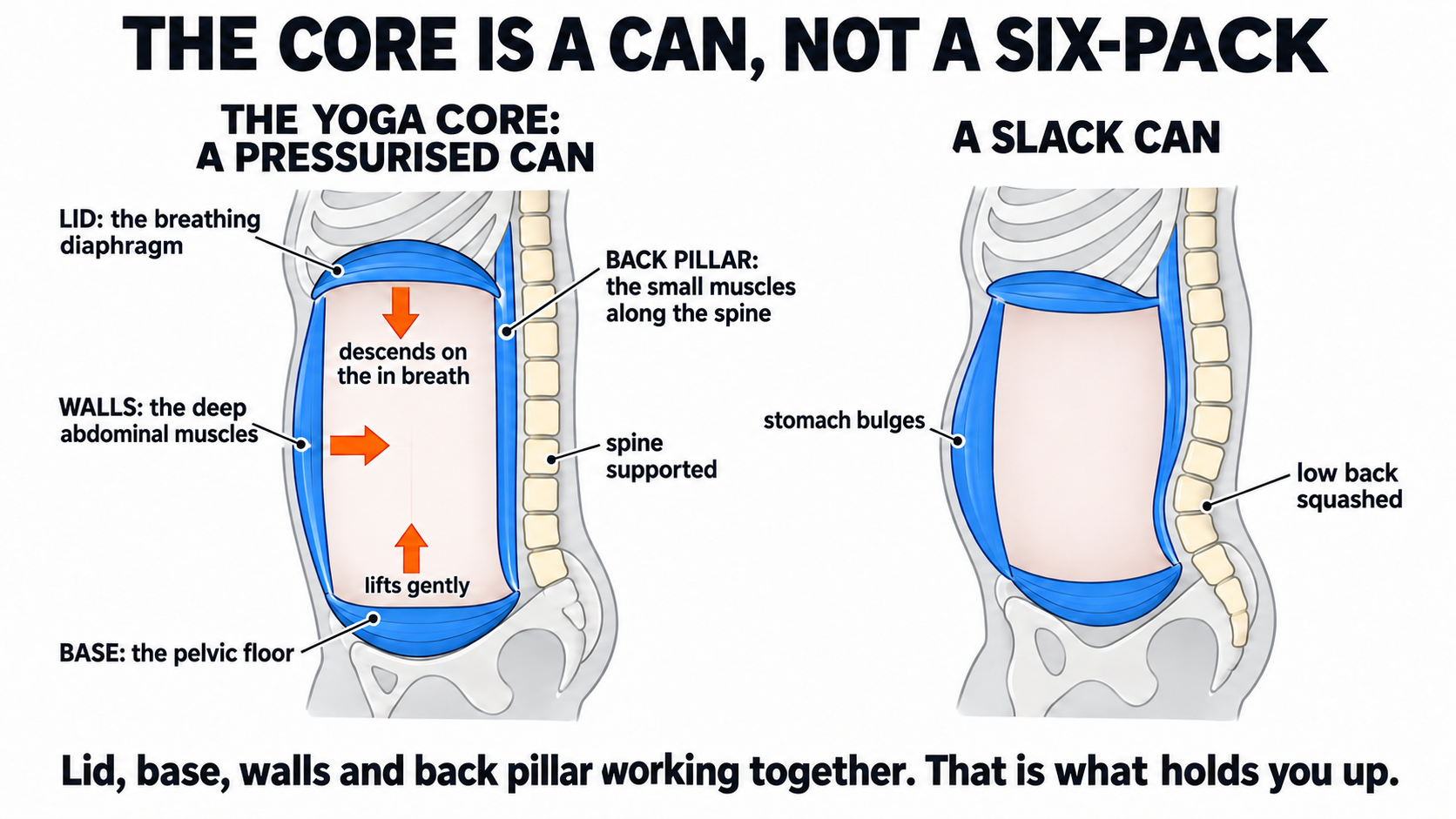 Cutaway diagram of the torso showing the core as a pressurised can: diaphragm lid, pelvic floor base, deep abdominal walls and the small muscles along the spine, beside a slack can with a bulging belly