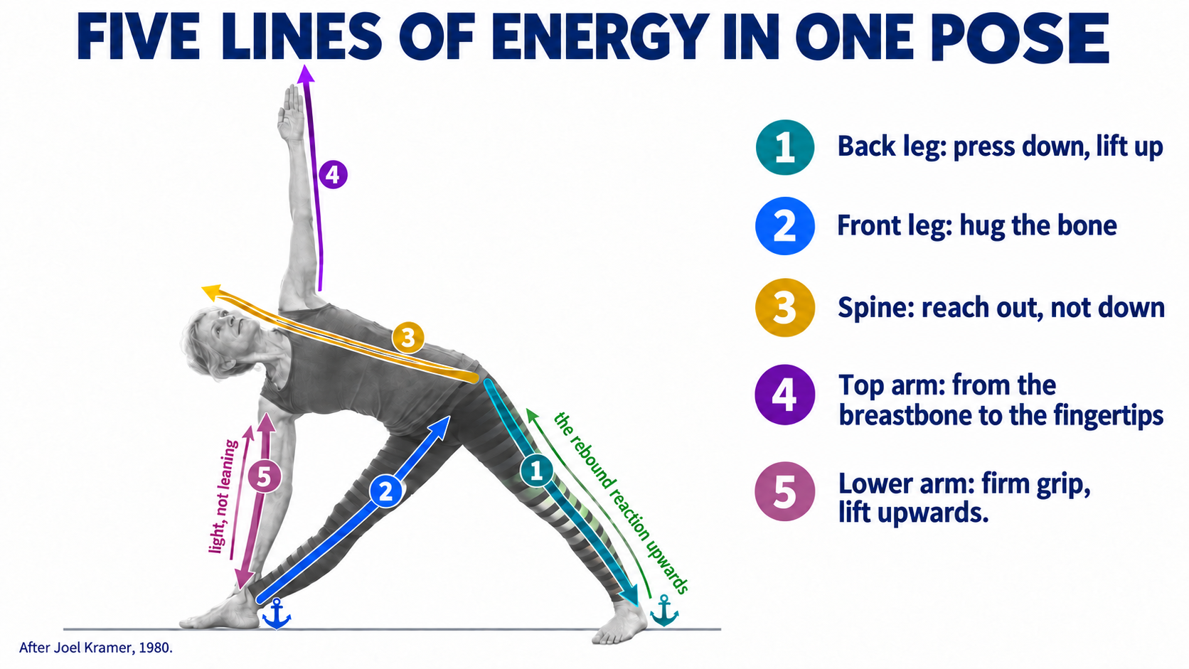 Five coloured arrows over Extended Triangle Pose showing Joel Kramer's five lines of energy: back leg, front leg, spine, top arm and lower arm