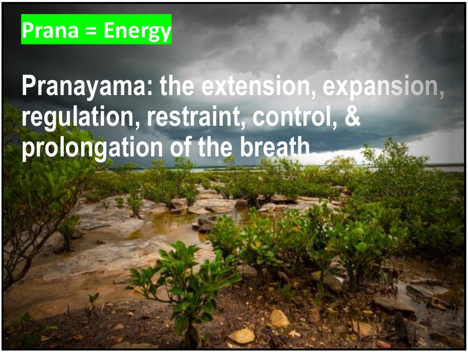 Prana means energy. Pranayama is the extension, expansion, regulation, restraint, control and prolongation of the breath
