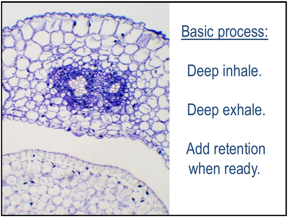 The basic pranayama process: deep inhale, deep exhale, add retention when ready
