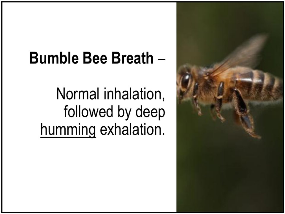 Bhramari bumble bee breath: normal inhalation followed by a deep humming exhalation
