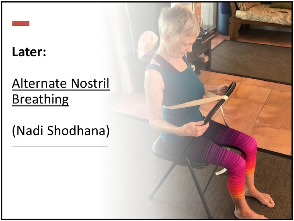 Nadi Shodhana alternate nostril breathing comes later in pranayama practice