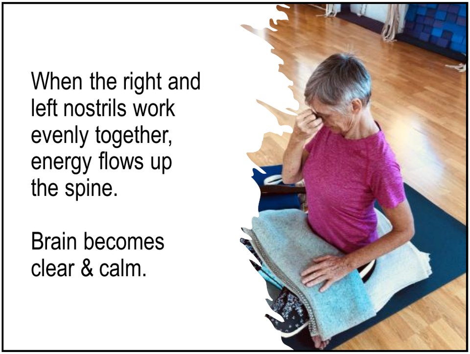 When the right and left nostrils work evenly together, energy flows up the spine and the brain becomes clear and calm