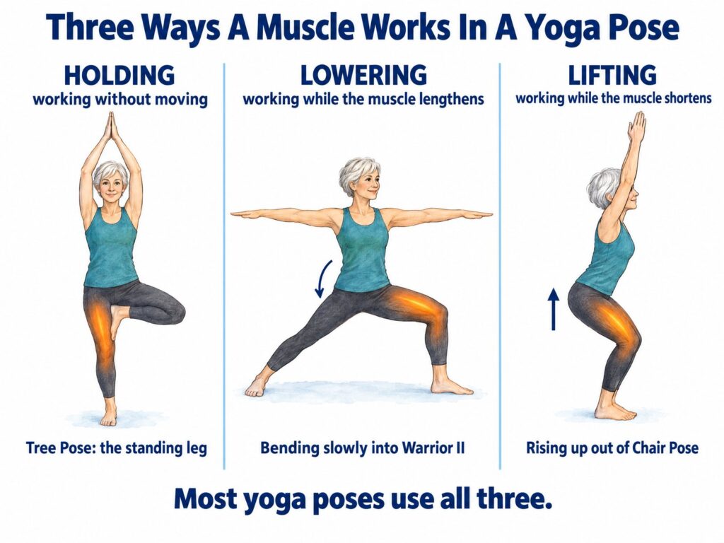 Is yoga resistance training: holding in Tree Pose, lowering into Warrior II and lifting out of Chair Pose
