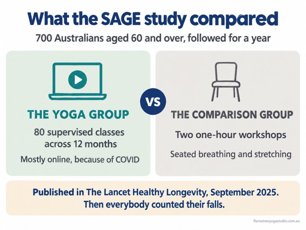What the SAGE study compared: 80 supervised yoga classes over 12 months, mostly online, against two one-hour seated workshops