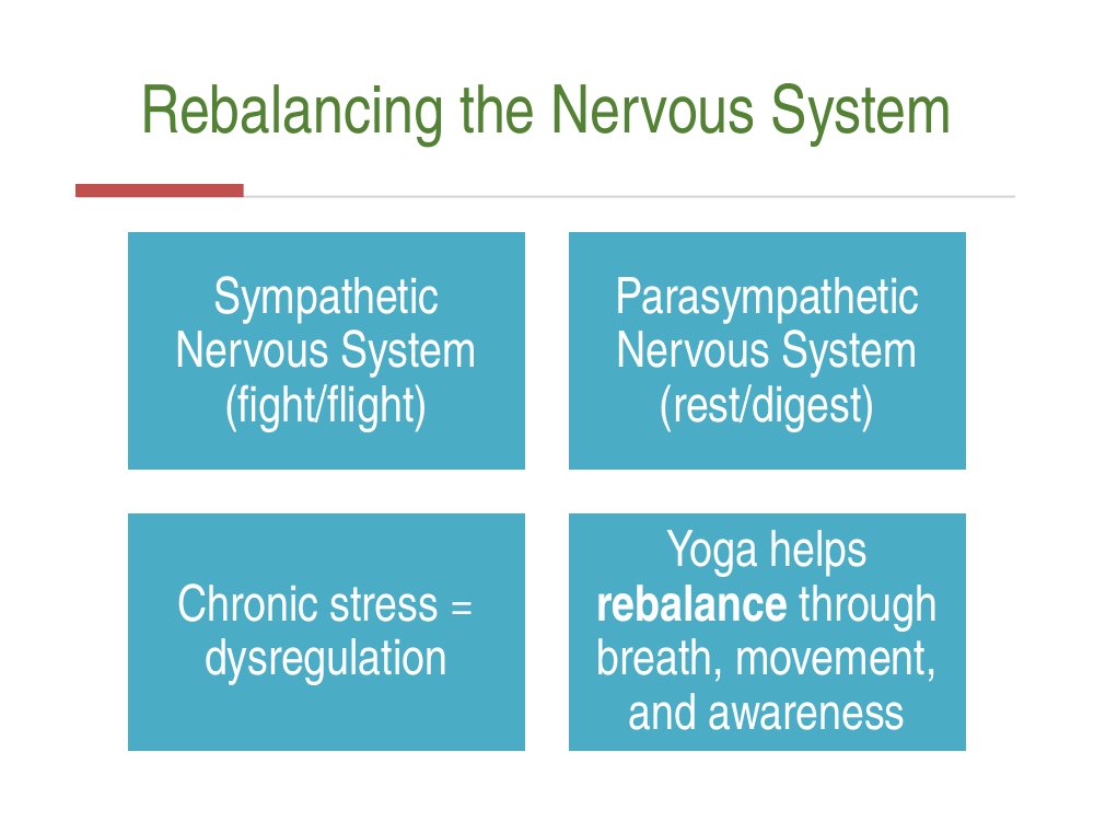 Rebalancing the nervous system: sympathetic fight or flight, parasympathetic rest and digest, chronic stress equals dysregulation, and yoga rebalances through breath, movement and awareness