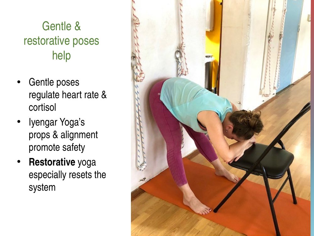 Gentle and restorative poses regulate heart rate and cortisol, Iyengar yoga props and alignment promote safety, and restorative yoga especially resets the system