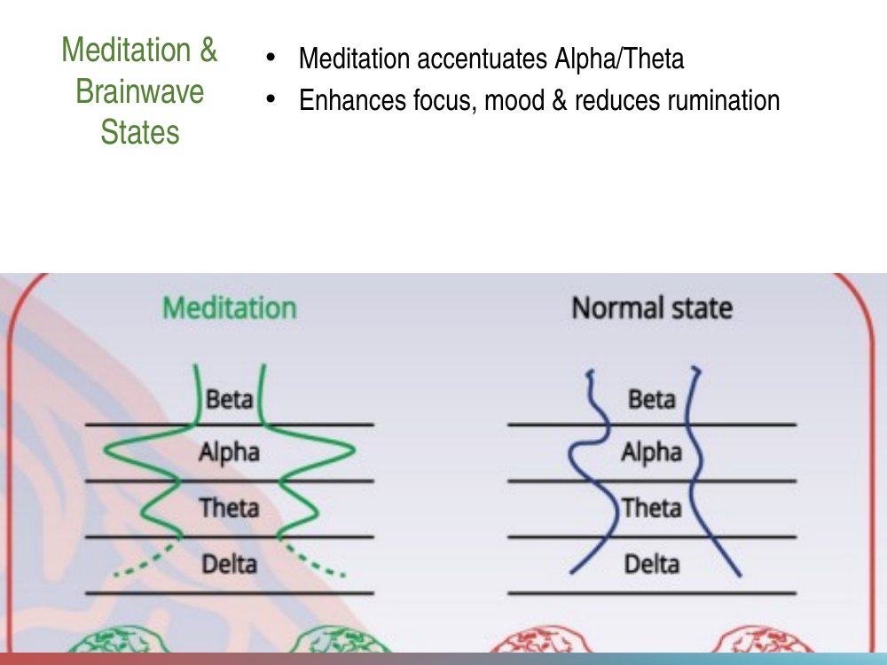 Meditation accentuates alpha and theta brain waves, enhancing focus and mood and reducing rumination