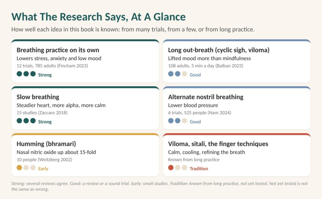 4 7 8 breathing and other breathwork: chart of what the research says at a glance, from breathing practice on its own to long out-breath, slow breathing and humming