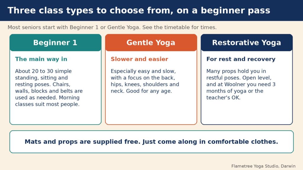 Diagram of the three Flametree types that suit seniors in Darwin: Beginner 1, Gentle Yoga and Restorative Yoga