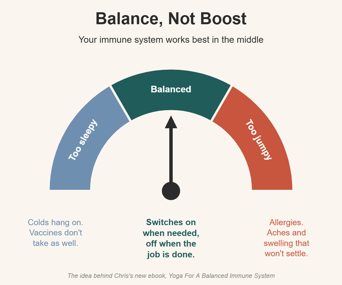 A dial with three zones: too sleepy, balanced and too jumpy. Your immune system works best in the middle. The idea behind Chris's new ebook, Yoga For A Balanced Immune System.