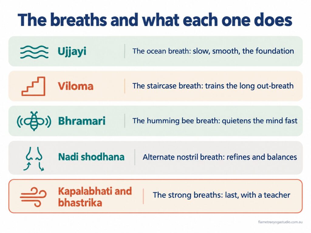 The yoga breaths and what each one does, for breathwork beginners