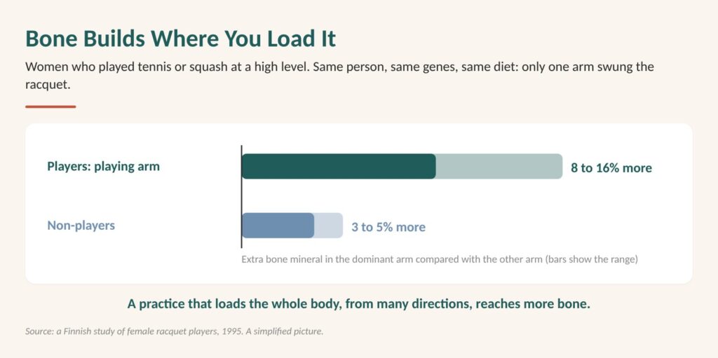 Build bone density after 50: diagram showing racquet players' playing arm carries 8 to 16% more bone than the other arm