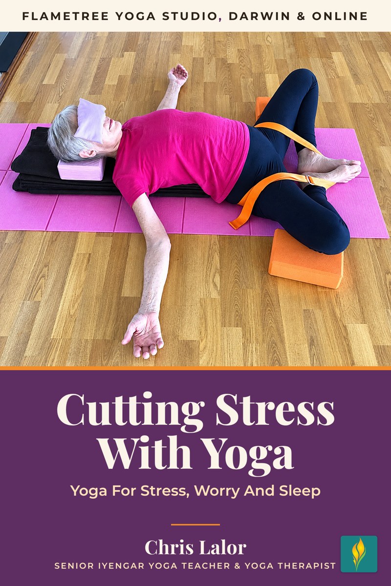 Cutting Stress With Yoga free ebook cover, by Chris Lalor, Flametree Yoga Studio Darwin