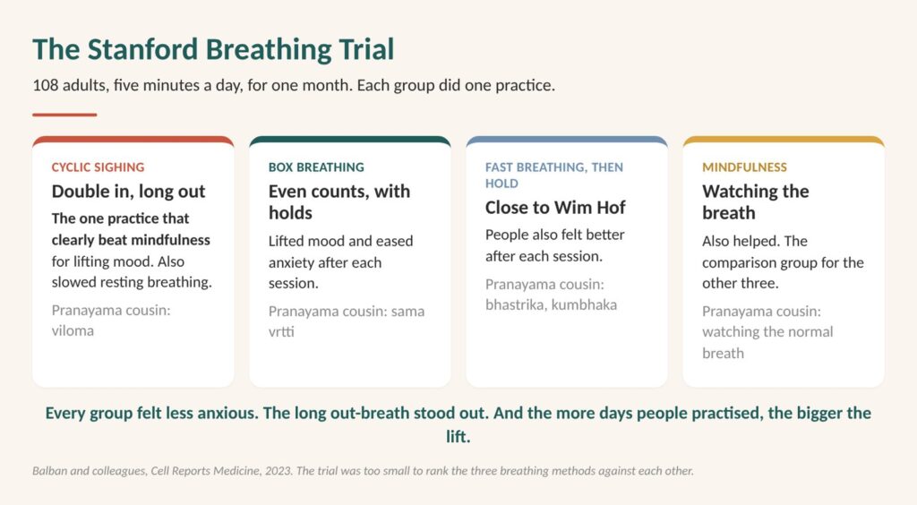 Cyclic sighing and the Stanford breathing trial: four practices, five minutes a day, and the long out-breath stood out against mindfulness