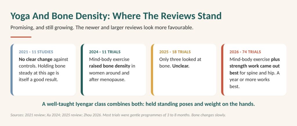 Exercise with thin bones: diagram of where the bone density reviews stand, the largest finding mind-body exercise with strength work did best