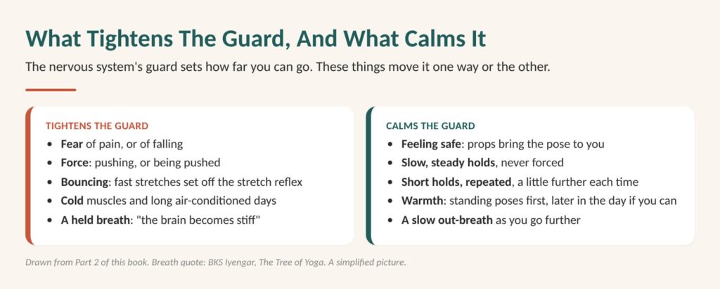Flexibility exercises for seniors: diagram of what tightens the nervous system's guard, such as fear, force, cold and a held breath, and what calms it