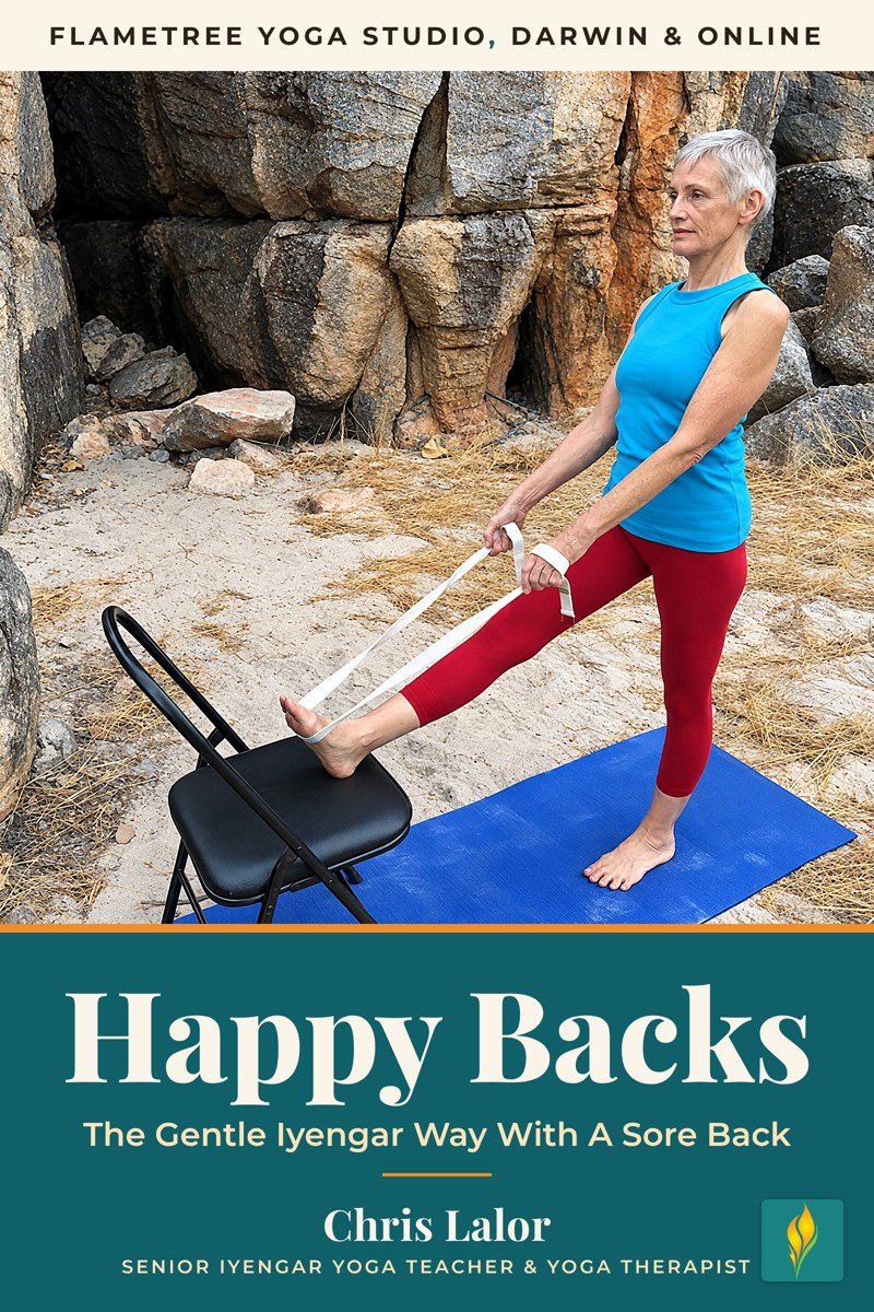 Happy Backs free ebook cover: Iyengar yoga for back and neck pain by Chris Lalor, Flametree Yoga Studio Darwin