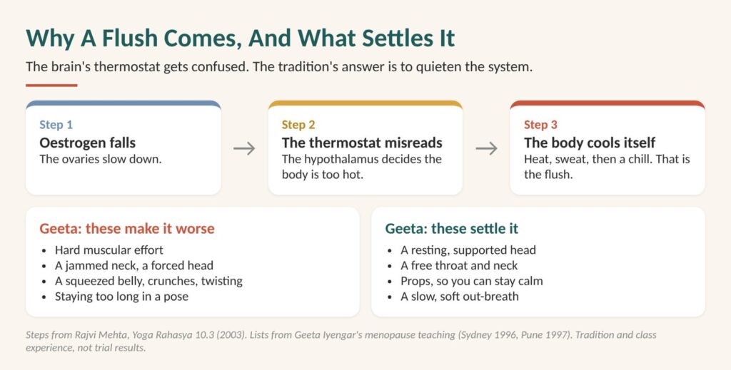 Why hot flushes come: diagram of oestrogen falling, the brain's thermostat misreading the body as too hot, and the body cooling itself, with Geeta Iyengar's lists of what makes it worse and what settles it