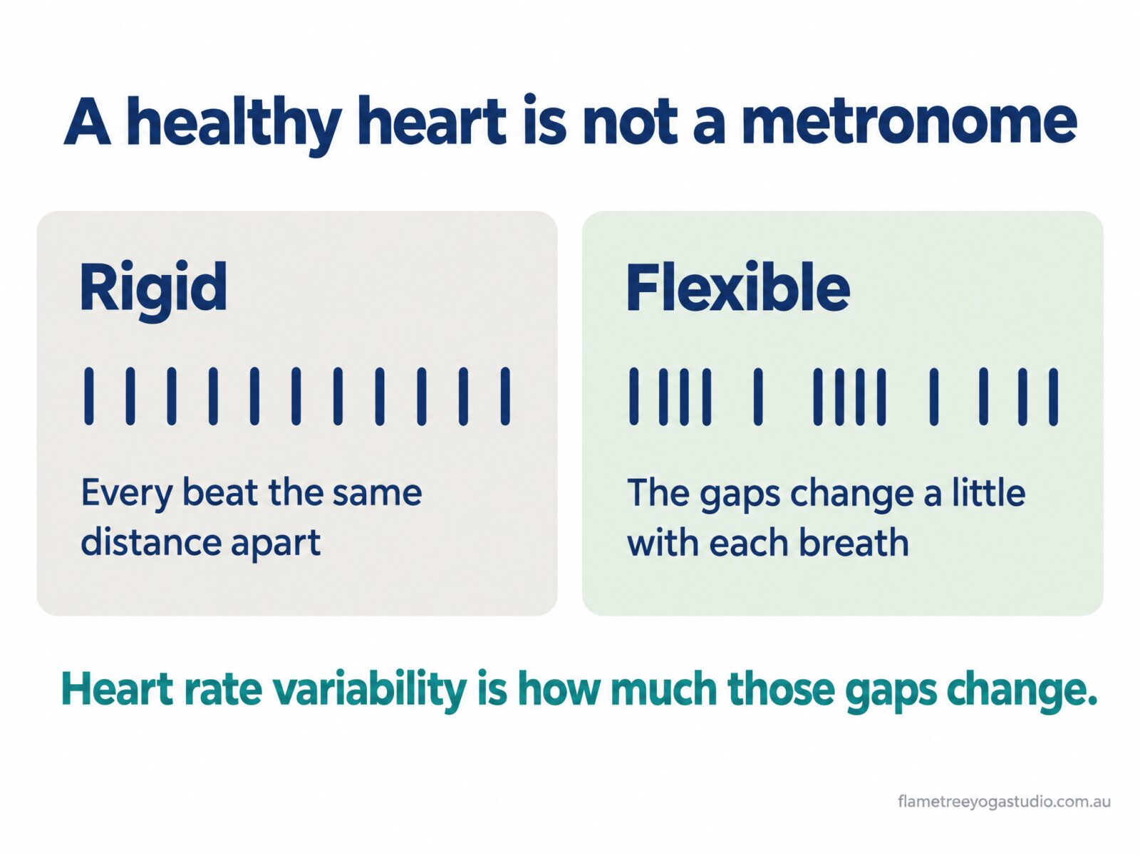 How to improve HRV: diagram comparing a rigid heartbeat with every beat the same distance apart to a flexible one whose gaps change a little with each breath