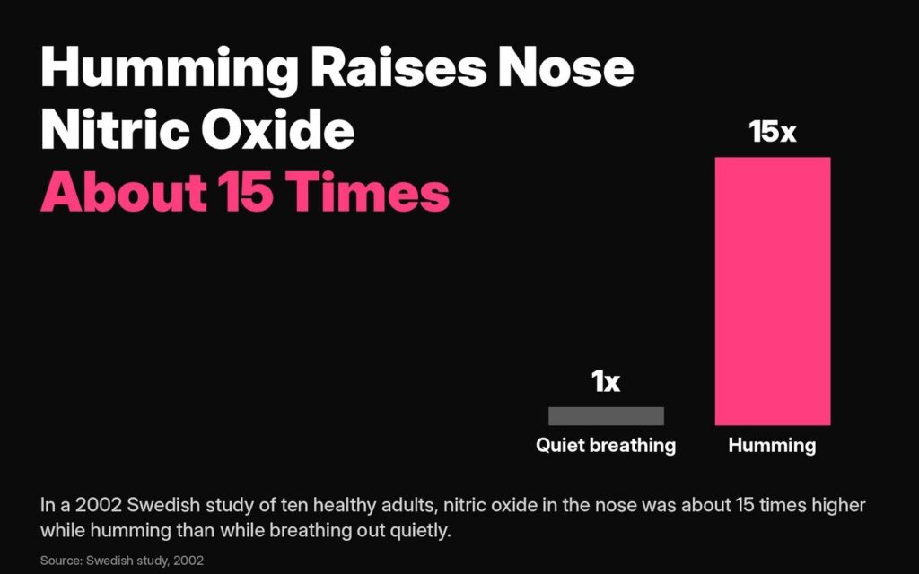 Humming bee breath: in a 2002 Swedish study, nitric oxide in the nose was about 15 times higher while humming than while breathing out quietly