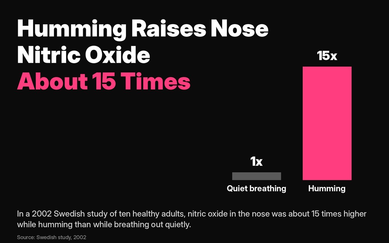 Humming bee breath for asthma: nitric oxide in the nose was about 15 times higher while humming than while breathing out quietly