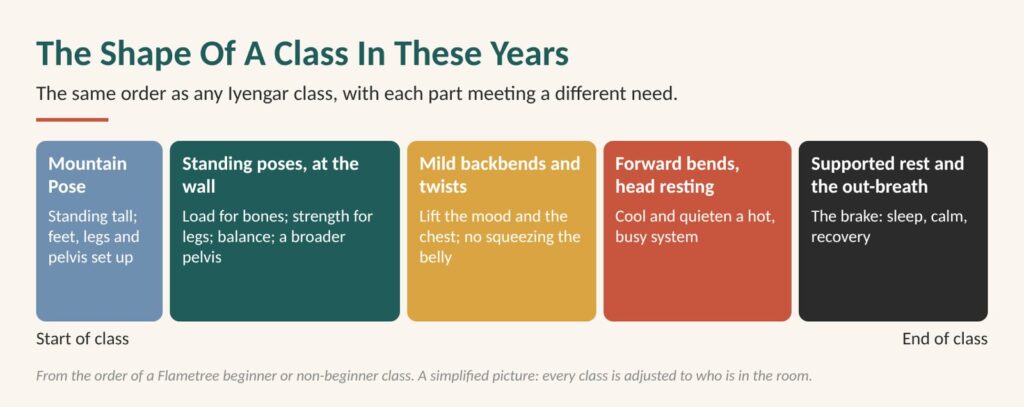 Kegel exercises and yoga: diagram of the shape of a Flametree in midlife, Mountain Pose, standing poses, mild backbends and twists, forward bends, then supported rest and the out-breath