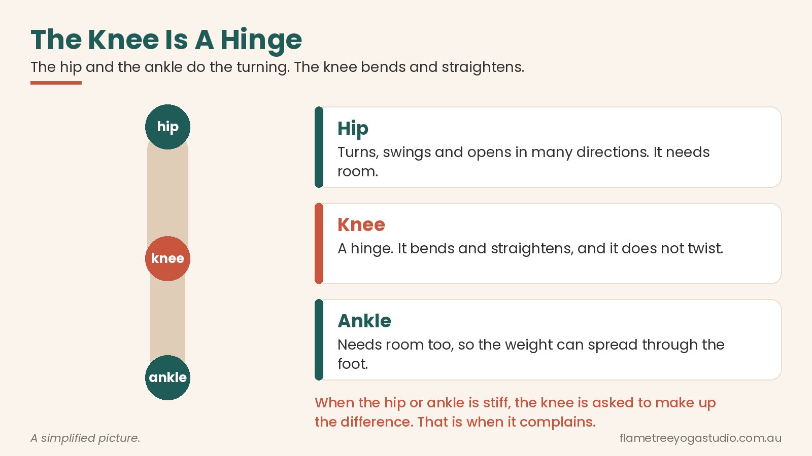 Knee pain relief diagram: the knee is a hinge, so the hips and ankles must do the twisting