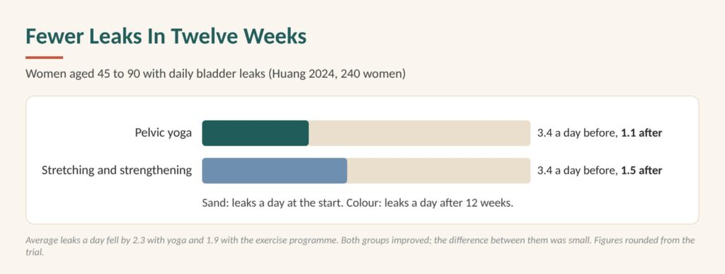 Leak when I cough? In a 2024 trial of 240 women aged 45 to 90, leaks fell from about 3.4 to 1.1 a day after 12 weeks of pelvic yoga