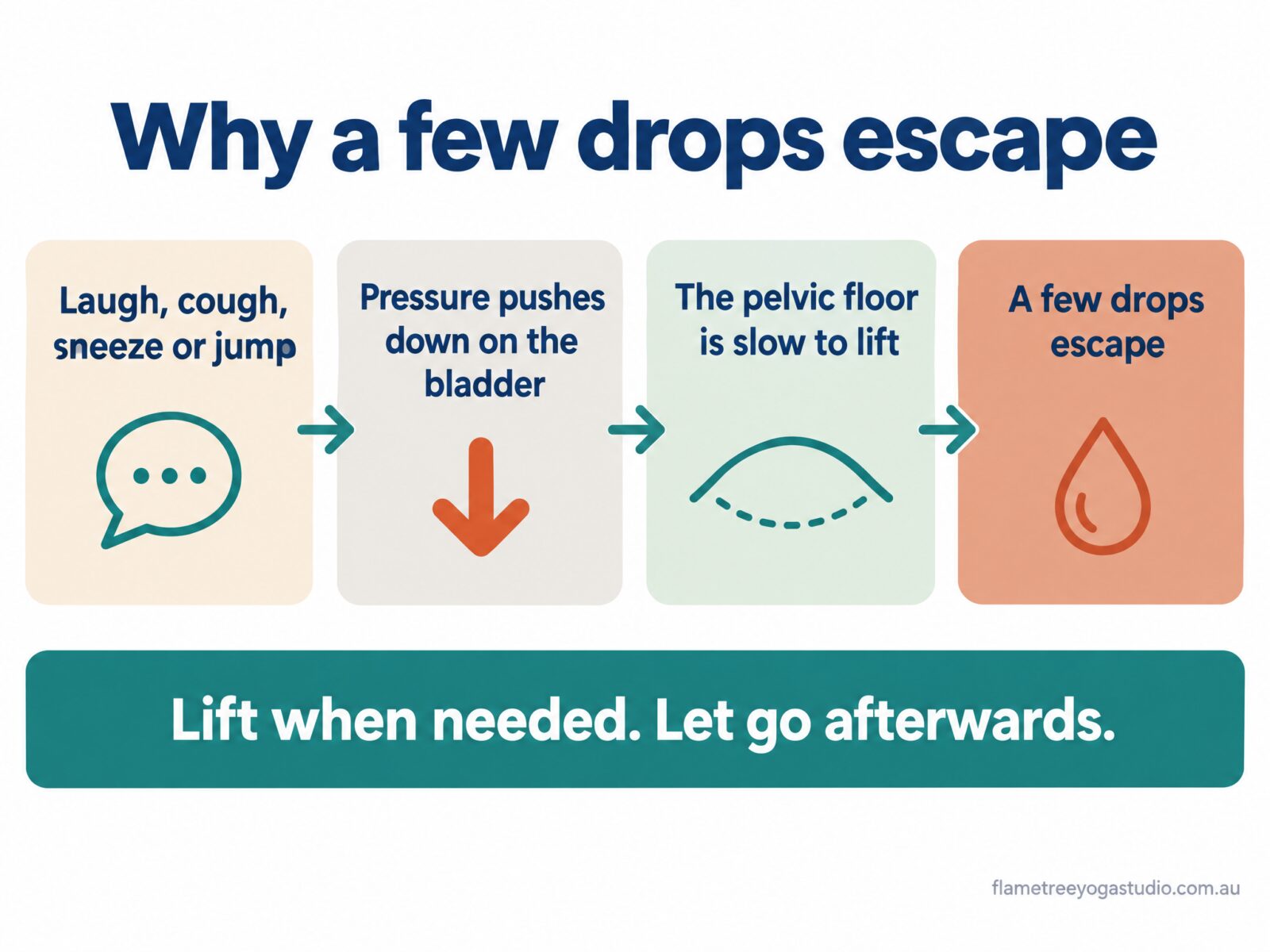 Light bladder leakage diagram: a laugh, cough, sneeze or jump pushes down on the bladder, the pelvic floor is slow to lift and a few drops escape