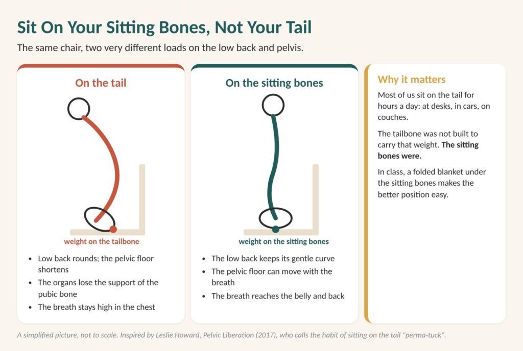Lower back pain from sitting: on the tail the low back rounds; on the sitting bones it keeps its gentle curve