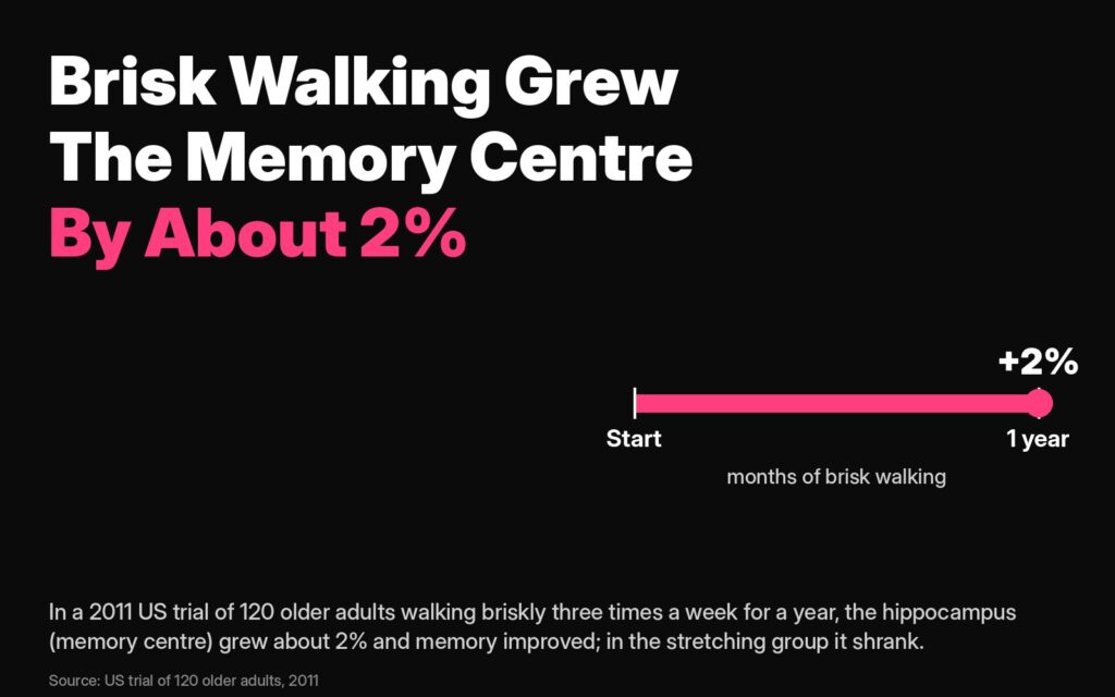 Memory Darwin: in a 2011 US trial of 120 older adults, the hippocampus grew about 2% in the brisk walking group and memory improved