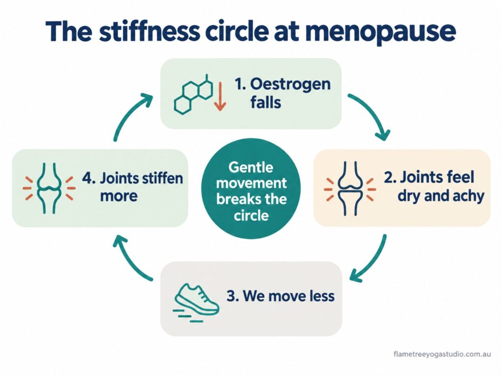 Menopause joint pain diagram: oestrogen falls, joints feel dry and achy, we move less, joints stiffen more, and gentle movement breaks the circle
