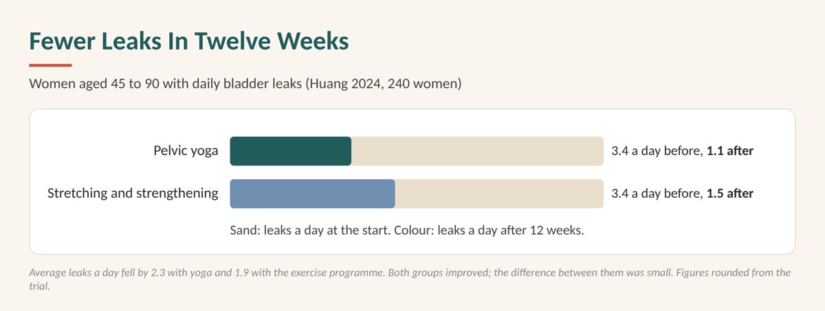 Menopause yoga ebook: chart of fewer bladder leaks after twelve weeks of yoga